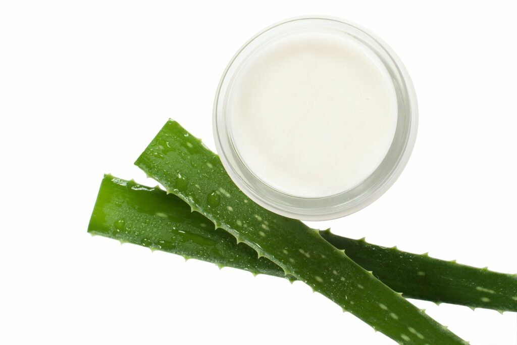 masque cheveux fait maison à l'aloe vera