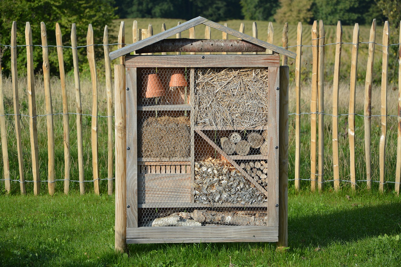 DIY: Construire son propre hôtel à insectes en famille